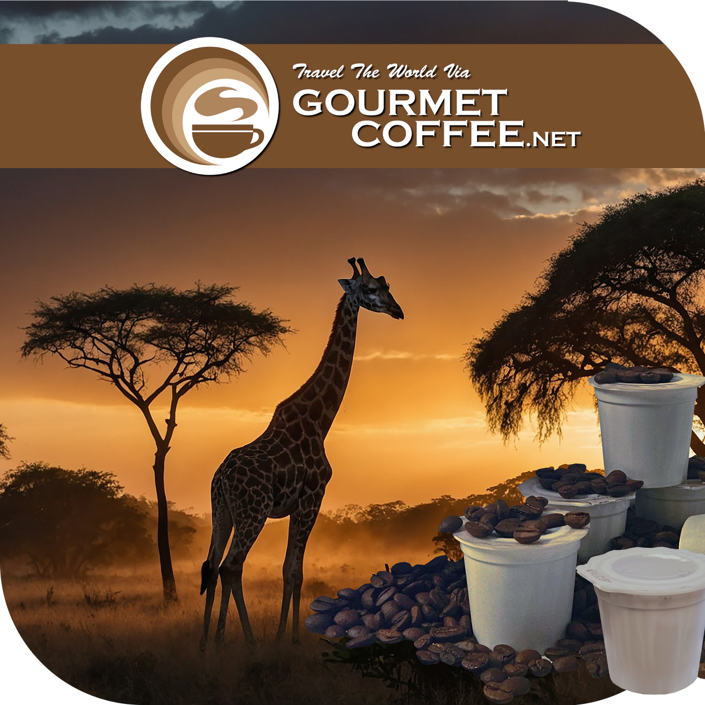 African Coffee Pods, 24 Count Variety Pack