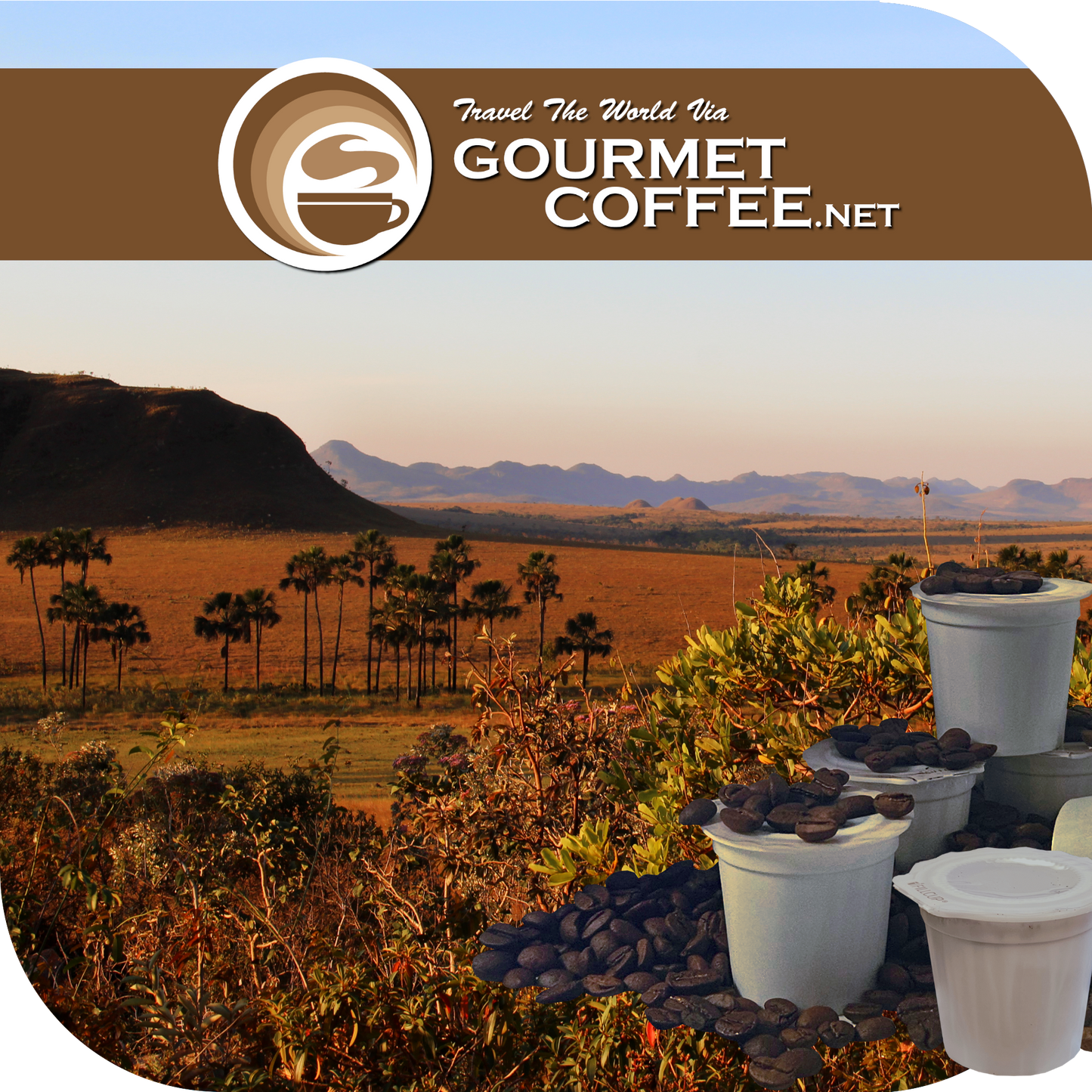 Brazil Cerrado Coffee Pods