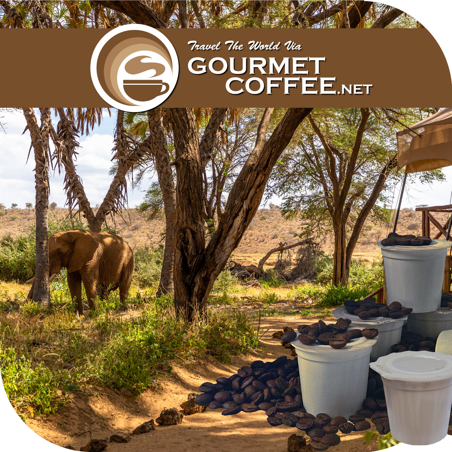 Kenya AA Coffee Pods
