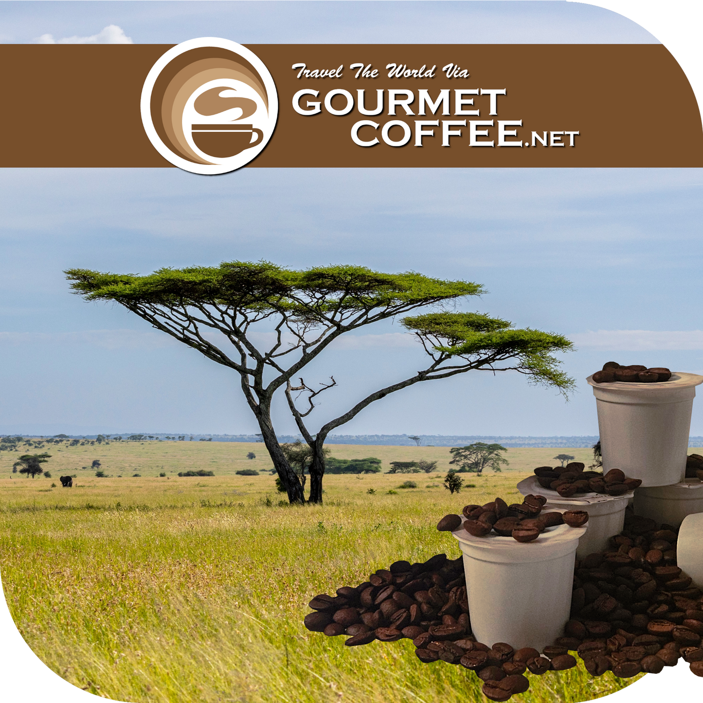 Tanzania Peaberry Coffee Pods