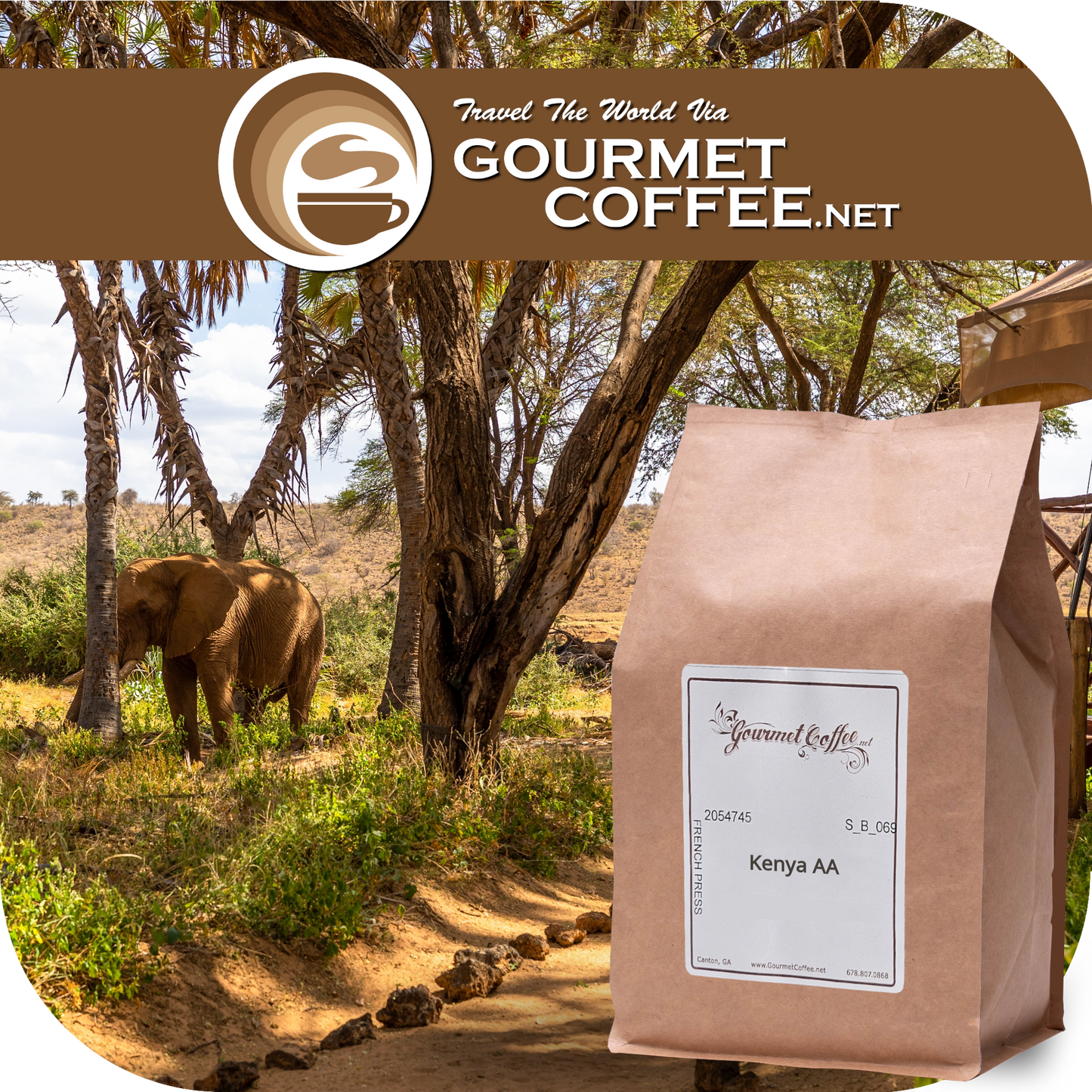 Kenya AA Coffee