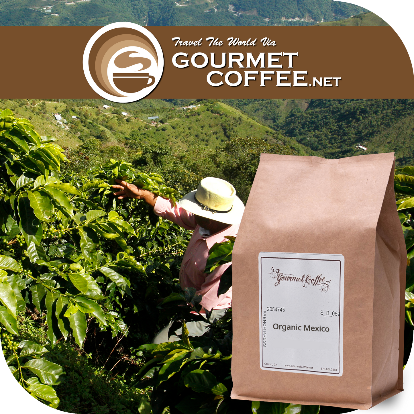 Organic Mexico Coffee