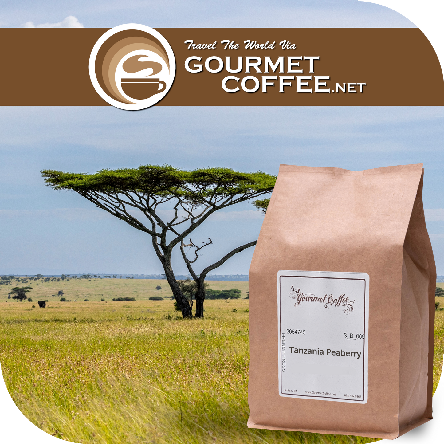 Tanzania Peaberry Coffee