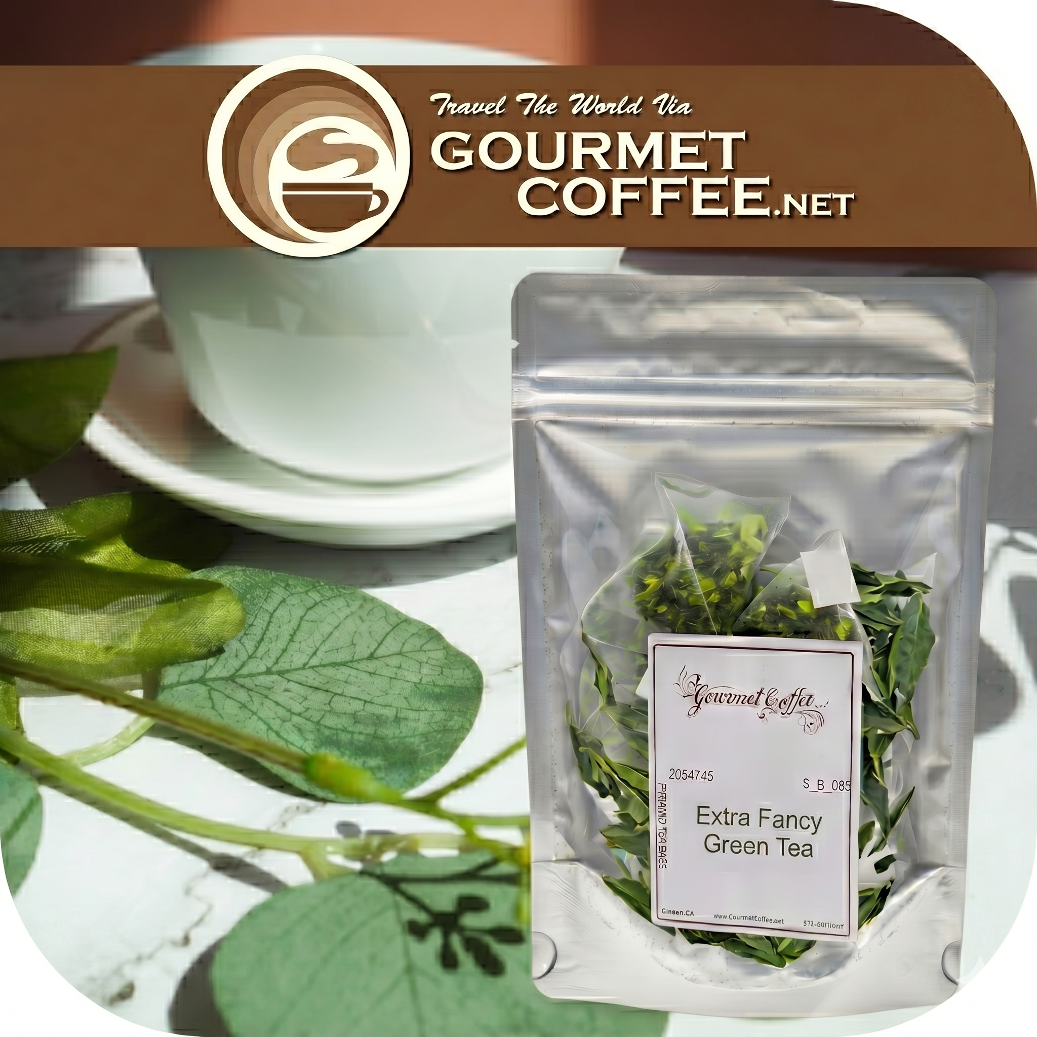 Extra Fancy Green Pyramid Tea – Gourmet Coffee