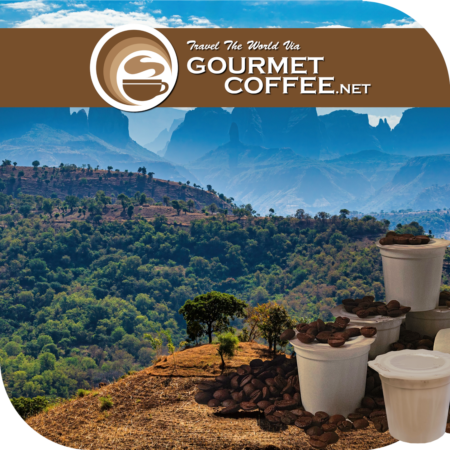Ethiopia Harrar Coffee Pods