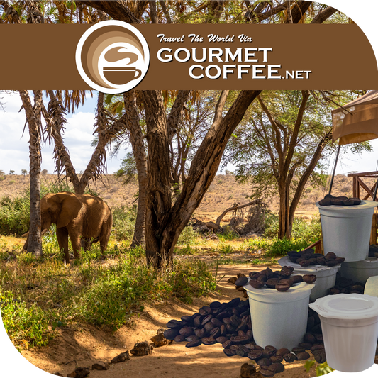 Kenya AA Coffee Pods