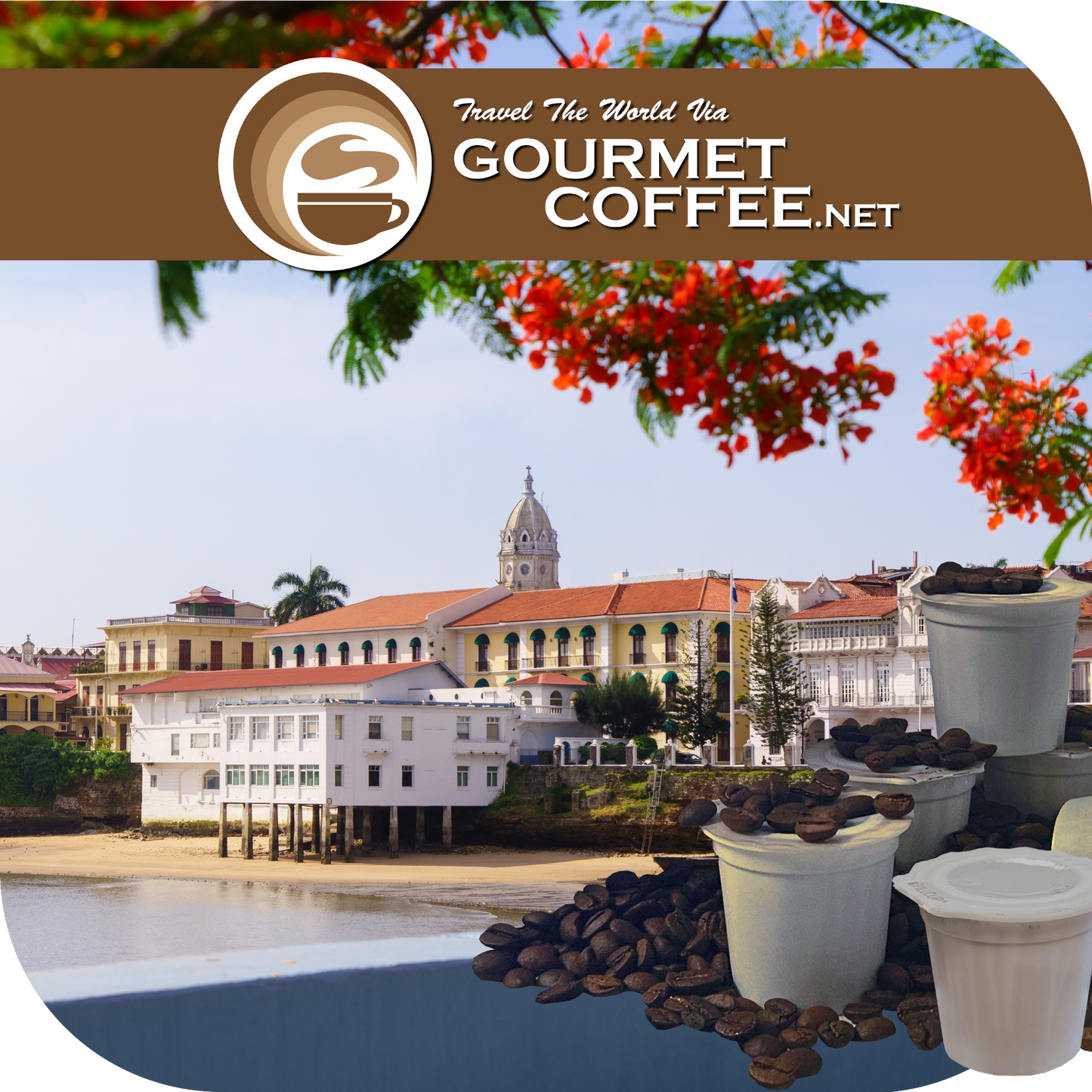 Panama Boquete Coffee Pods