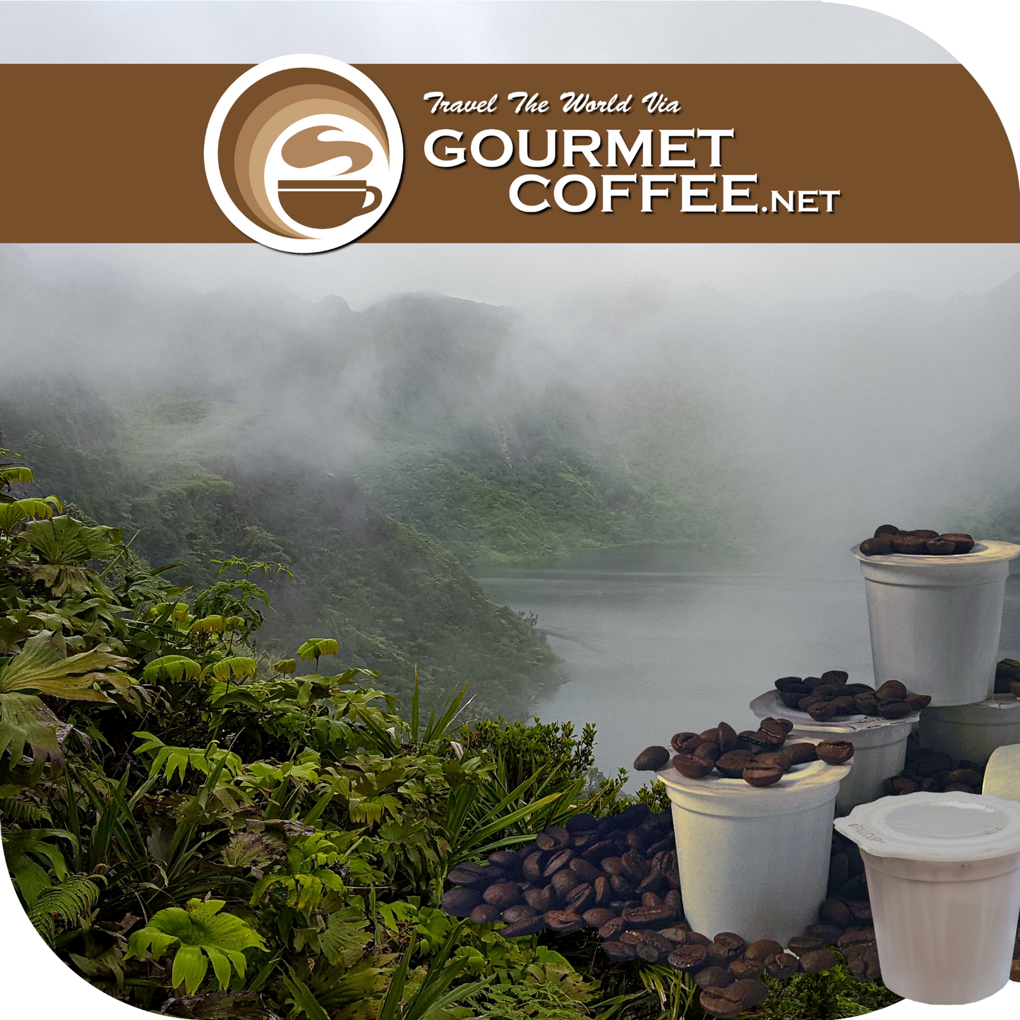Papua New Guinea Coffee Pods
