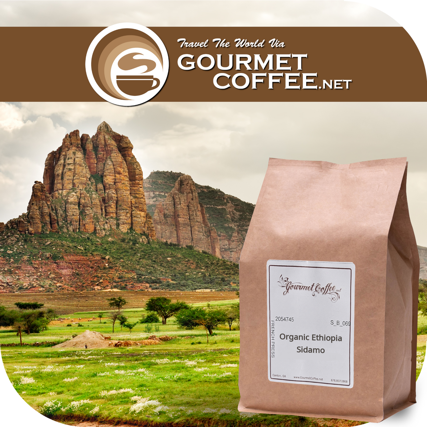 Organic Ethiopia Sidamo Coffee